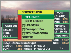 Services DVB