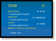 DAB signal information